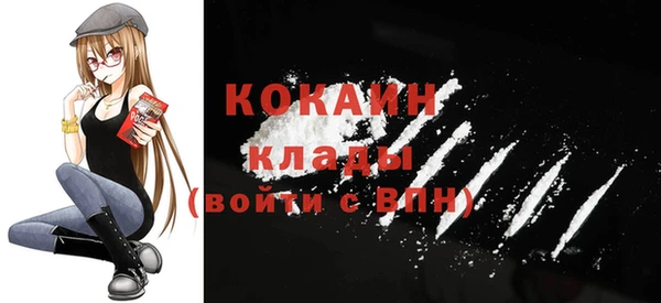 крисы Баксан