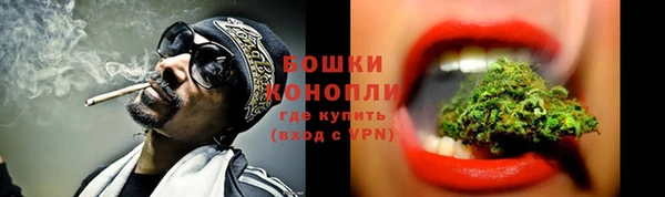 крисы Баксан