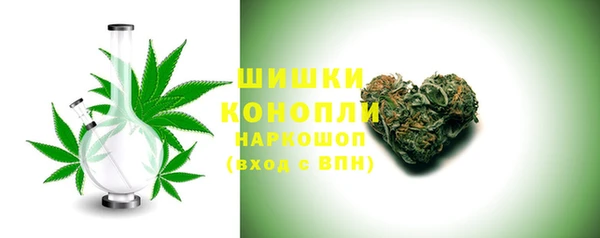 крисы Баксан