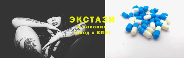 крисы Баксан
