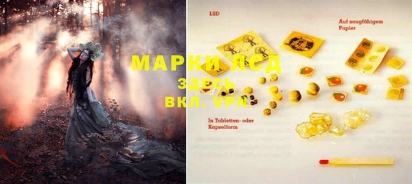 крисы Баксан
