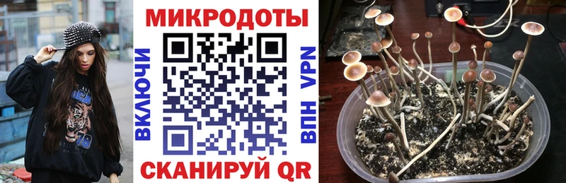 Галлюциногенные грибы Cubensis  Озёры 